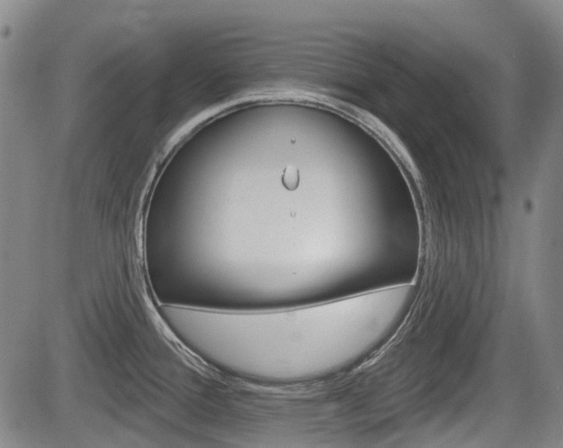 X0000085061388200703051021
