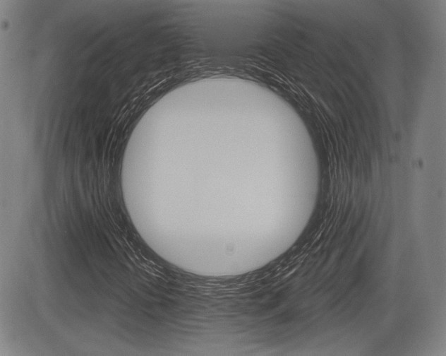 X0000085061394200703051020