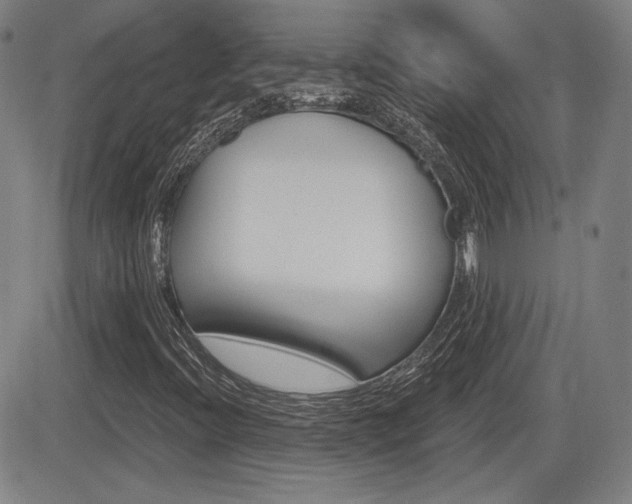 X0000085061396200703051020
