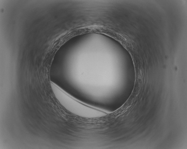 X0000085061398200703051020