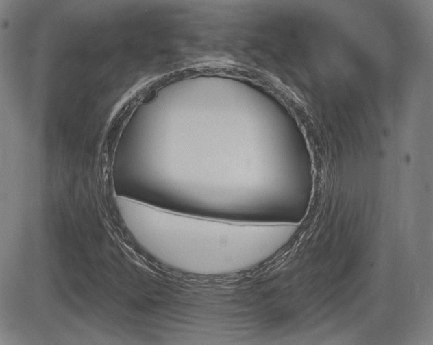 X0000085061400200703051020
