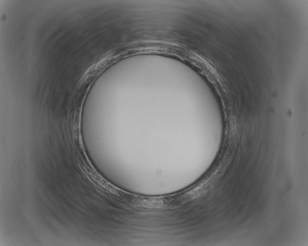X0000085061403200703051020