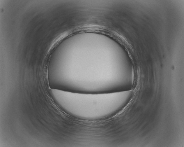 X0000085061405200703051020