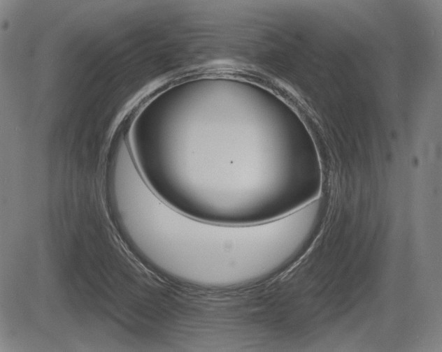 X0000085061410200703051020