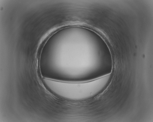X0000085061414200703051021