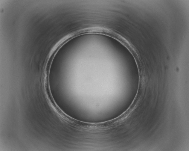 X0000085061418200703051021