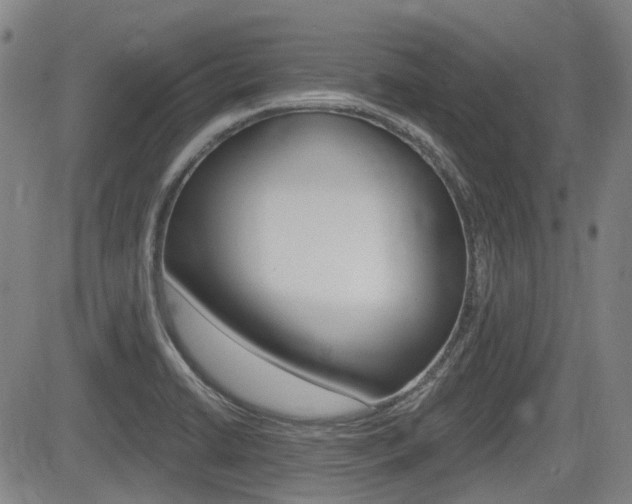 X0000085061422200703051021