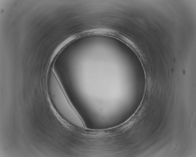 X0000085061426200703051021