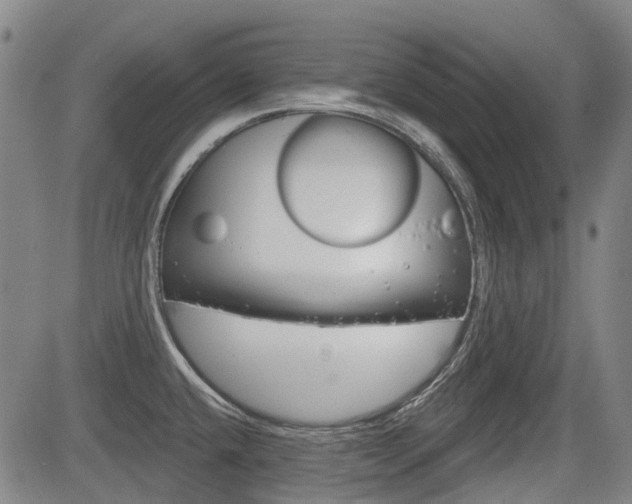 X0000085061432200703051021