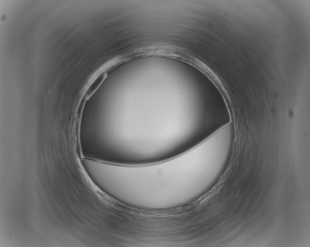 X0000085061434200703051021