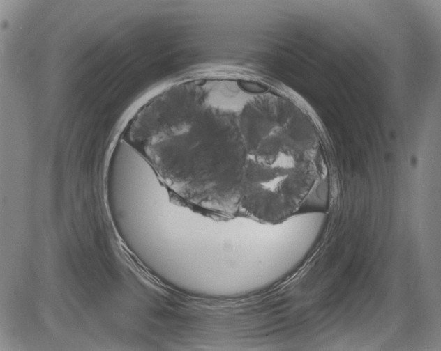 X0000085061435200703051021