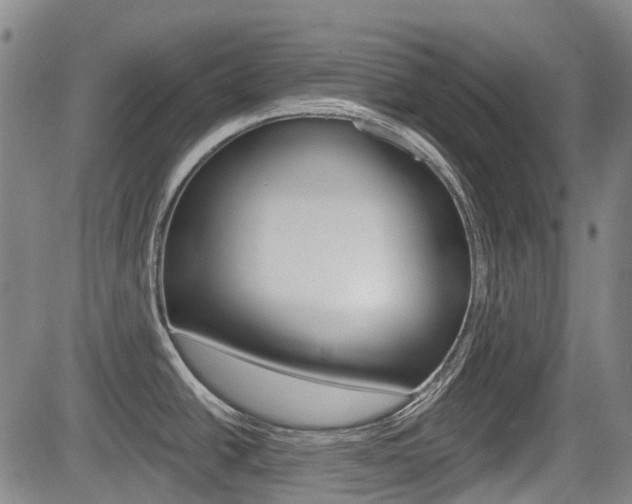 X0000085061438200703051021