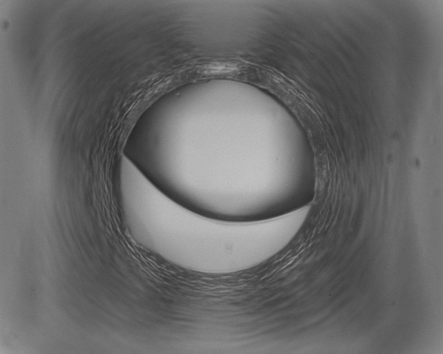 X0000085061441200703051020