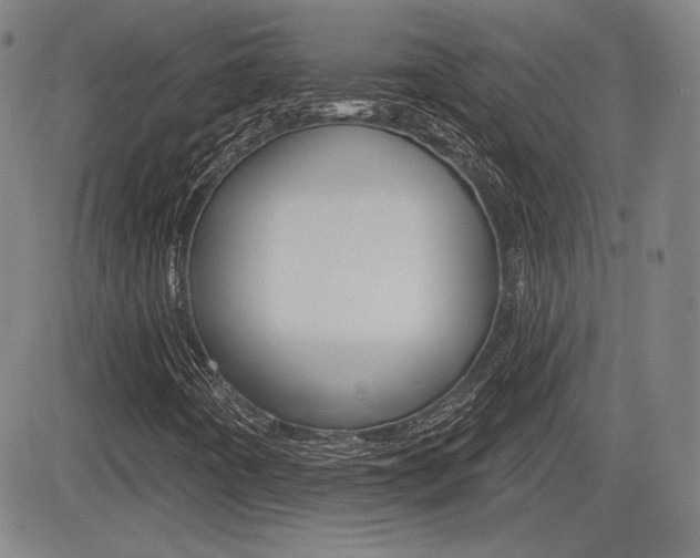 X0000085061442200703051020