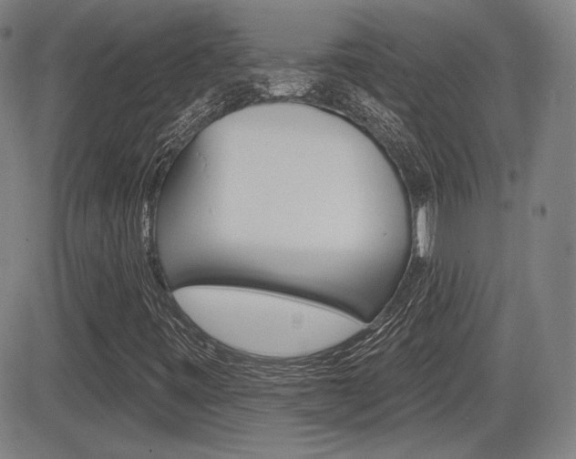 X0000085061443200703051020