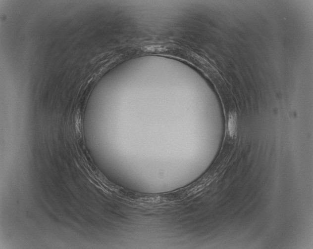 X0000085061444200703051020