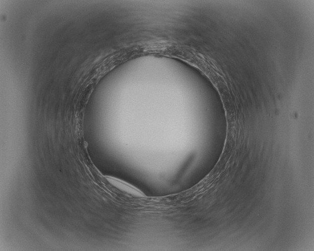 X0000085061445200703051020