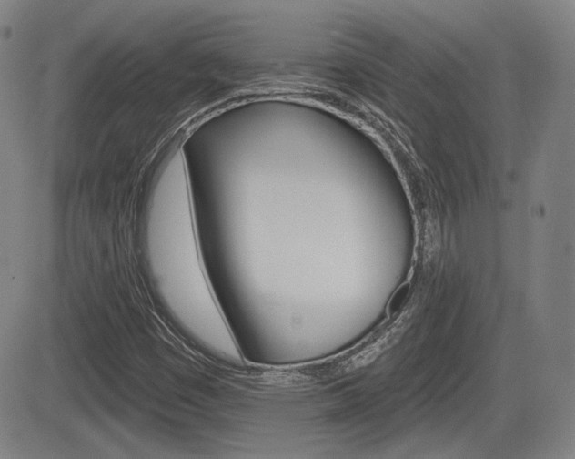 X0000085061449200703051020