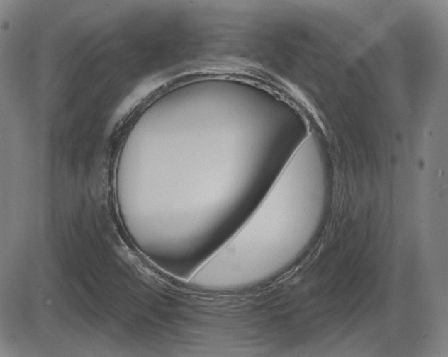 X0000085061456200703051020