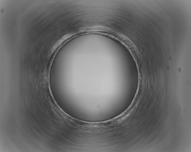 X0000085061457200703051020