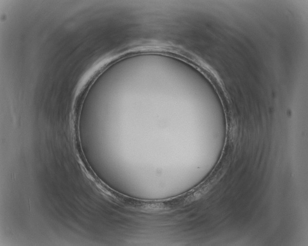 X0000085061464200703051020