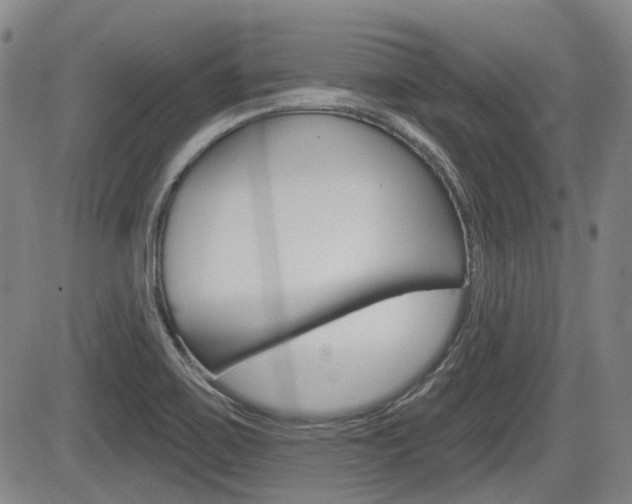 X0000085061467200703051020
