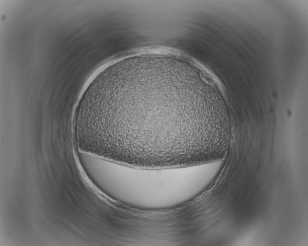 X0000085061483200703051019