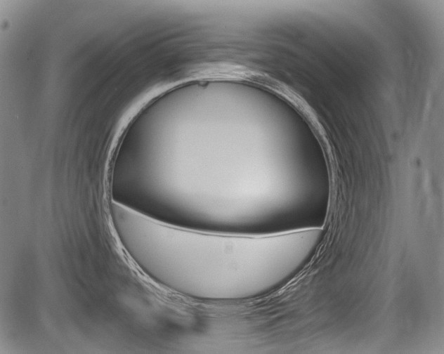 X0000085061488200703051019