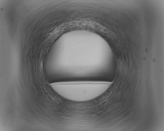 X0000085061489200703051019