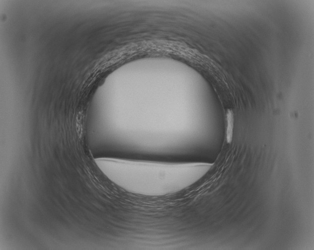 X0000085061491200703051019