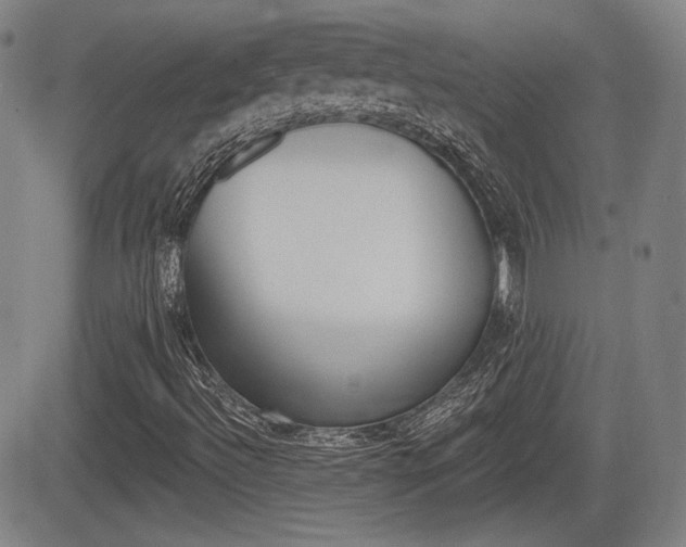 X0000085061492200703051019