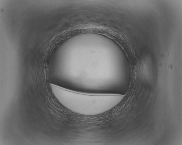X0000085061493200703051019