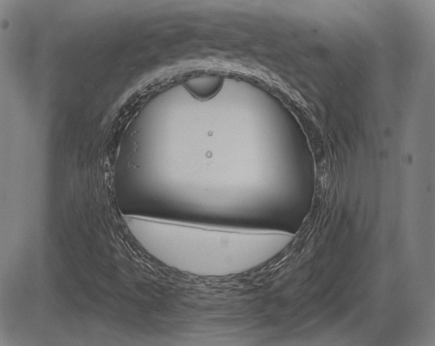 X0000085061495200703051019