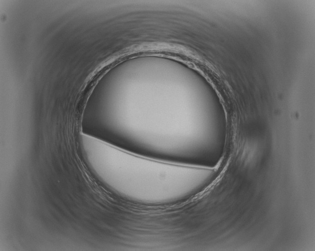 X0000085061497200703051019