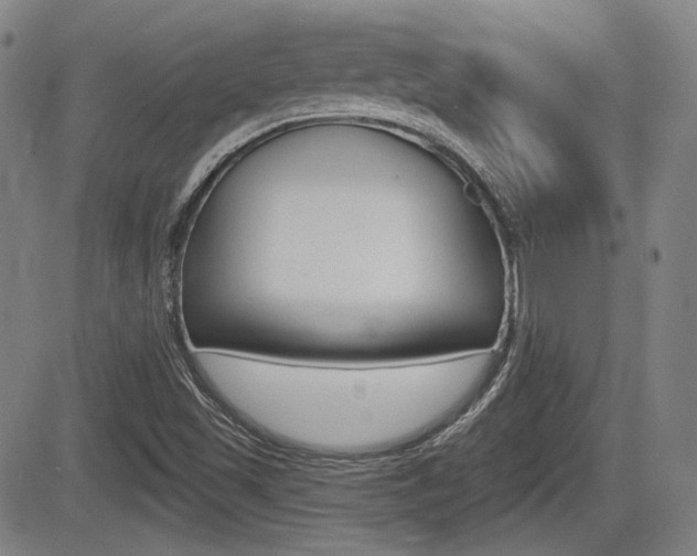 X0000085061501200703051019