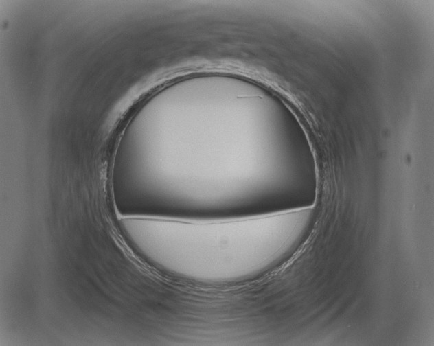 X0000085061503200703051019