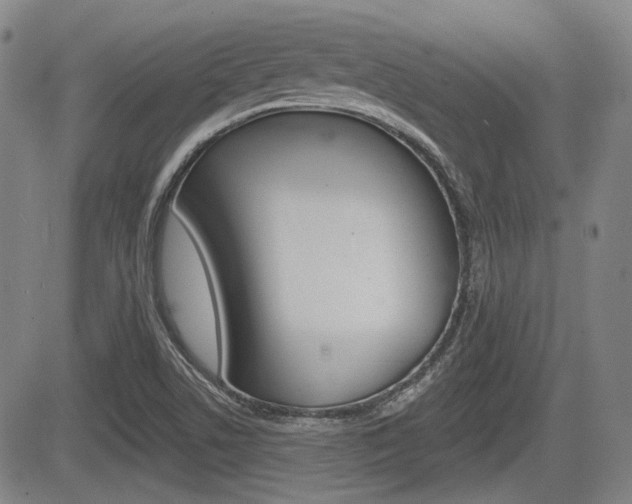 X0000085061506200703051019