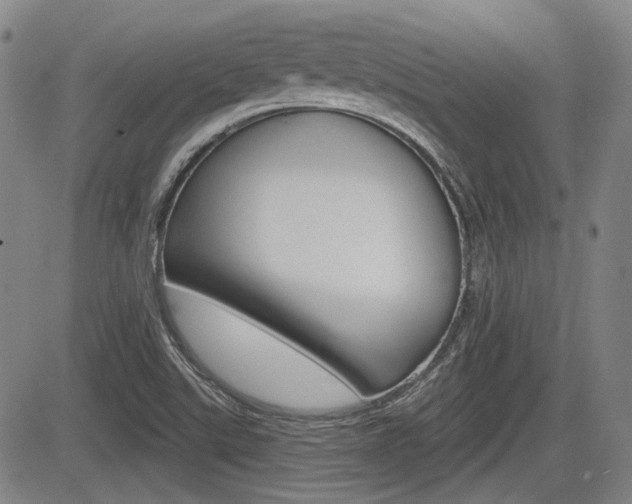 X0000085061507200703051019