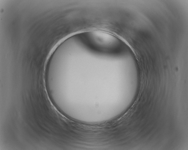 X0000085061508200703051019