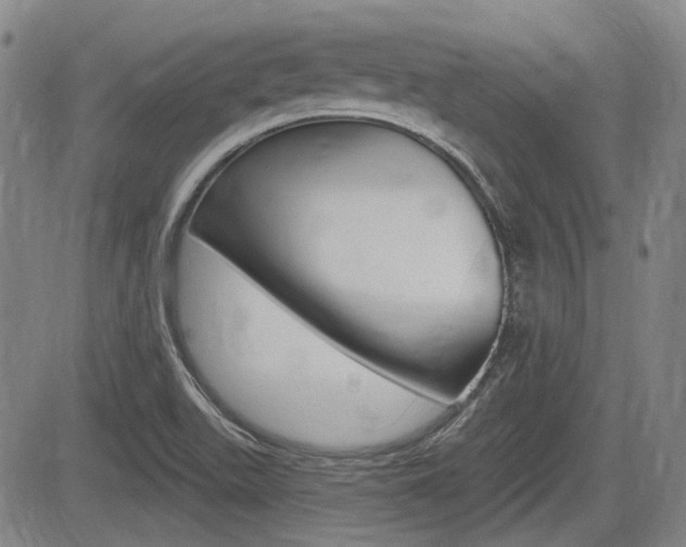 X0000085061511200703051019