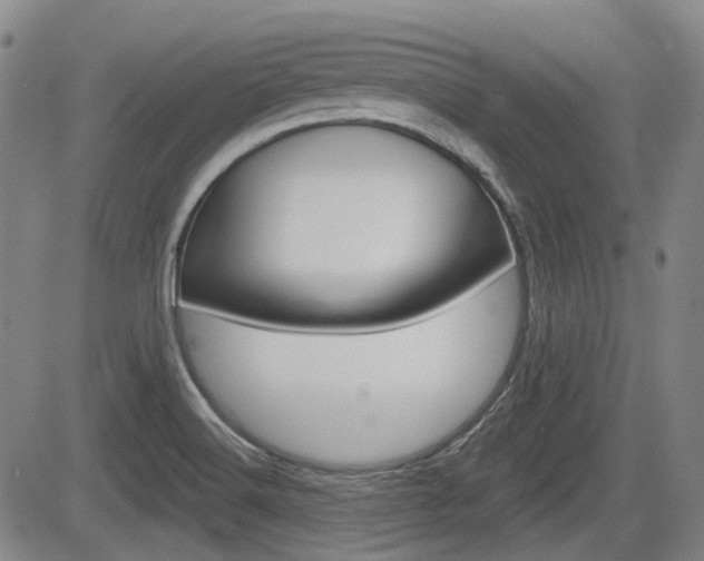 X0000085061516200703051019