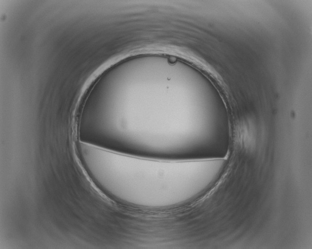X0000085061517200703051019