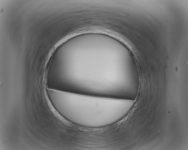 X0000085061526200703051019
