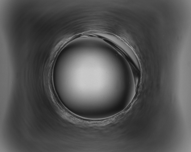 X0000085060001200703051449