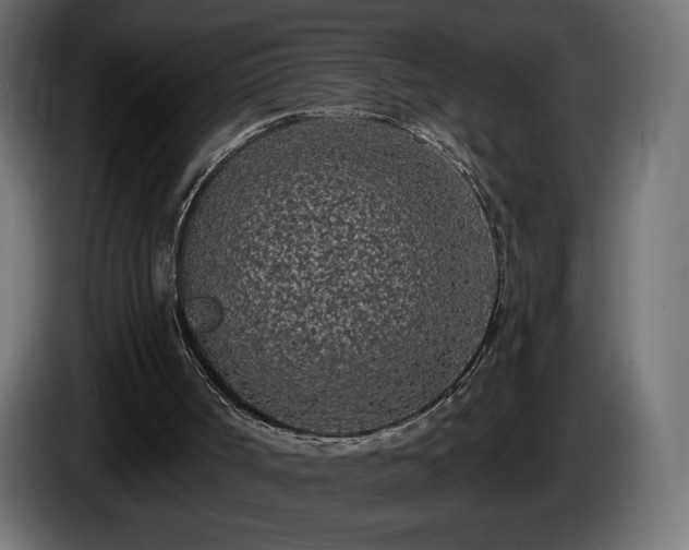 X0000085060002200703051449