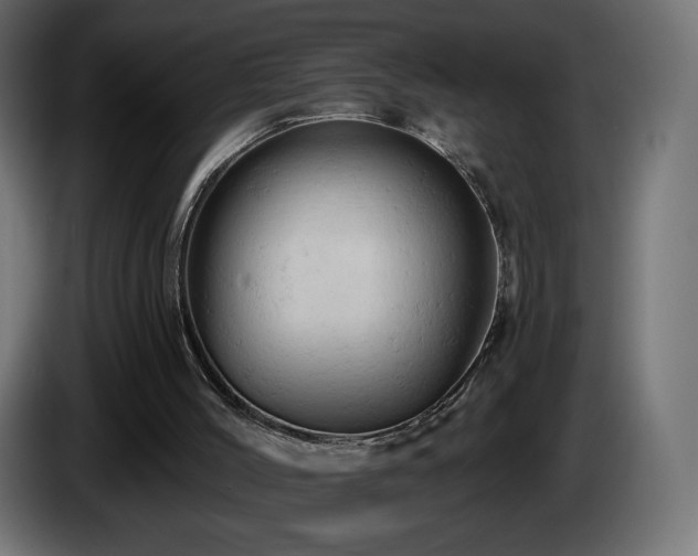 X0000085060004200703051449