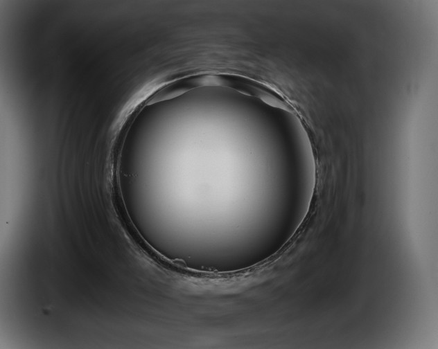 X0000085060005200703051449