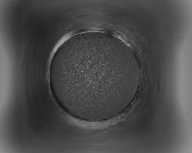 X0000085060006200703051449