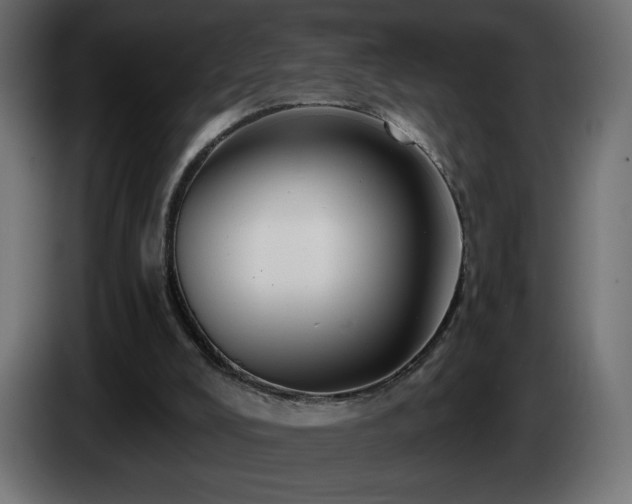 X0000085060008200703051449