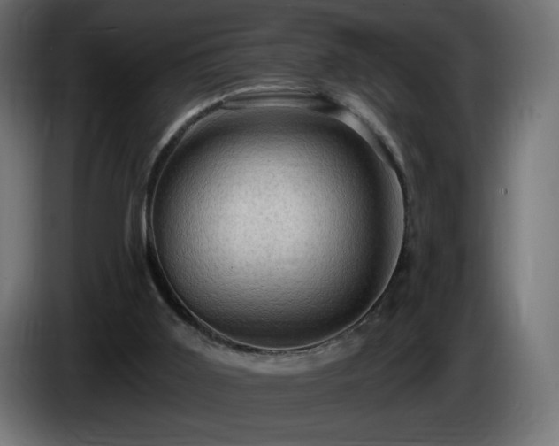 X0000085060011200703051449